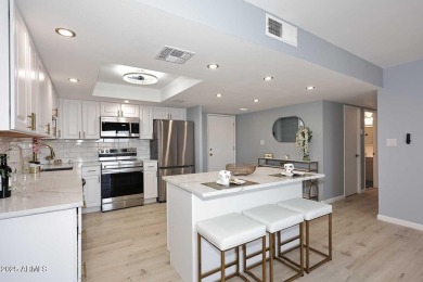YOUR ''PENTHOUSE DREAM IS HERE!''  SPECTACULAR REMODEL, EXCITING on Scottsdale Shadows in Arizona - for sale on GolfHomes.com, golf home, golf lot