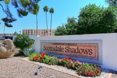 YOUR ''PENTHOUSE DREAM IS HERE!''  SPECTACULAR REMODEL, EXCITING on Scottsdale Shadows in Arizona - for sale on GolfHomes.com, golf home, golf lot