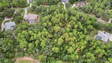 Build your dream home on this oversized lot. With 1.24 acres on Twisted Oaks Golf Club in Florida - for sale on GolfHomes.com, golf home, golf lot