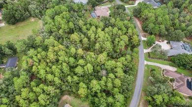 Build your dream home on this oversized lot. With 1.24 acres on Twisted Oaks Golf Club in Florida - for sale on GolfHomes.com, golf home, golf lot