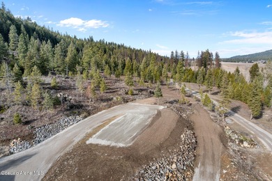 Welcome to 192 Healing Drive in the desirable Nelson Heights on Stoneridge Golf Club in Idaho - for sale on GolfHomes.com, golf home, golf lot