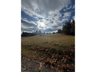 Discover the perfect blend of recreation, scenery, and on Hamilton Golf Club in Montana - for sale on GolfHomes.com, golf home, golf lot