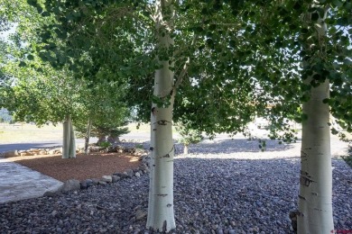 Connie Goodnight, Land Properties, LLC, C: , connie,  : on Rio Grande Golf Club in Colorado - for sale on GolfHomes.com, golf home, golf lot