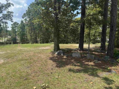 Rayburn Country  1/4  Acre Lot - Lake Area Living! Discover the on Rayburn Country Club in Texas - for sale on GolfHomes.com, golf home, golf lot