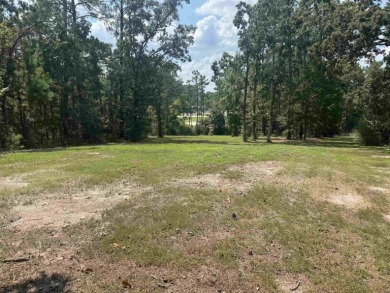 Rayburn Country  1/4  Acre Lot - Lake Area Living! Discover the on Rayburn Country Club in Texas - for sale on GolfHomes.com, golf home, golf lot