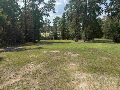 Rayburn Country  1/4  Acre Lot - Lake Area Living! Discover the on Rayburn Country Club in Texas - for sale on GolfHomes.com, golf home, golf lot