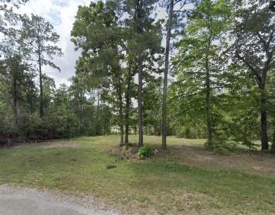 Rayburn Country  1/4  Acre Lot - Lake Area Living! Discover the on Rayburn Country Club in Texas - for sale on GolfHomes.com, golf home, golf lot