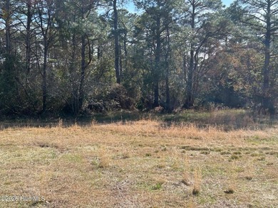 Fairfield Harbour, New Bern NC. Build your dream home on this on Harbour Point Golf Club in North Carolina - for sale on GolfHomes.com, golf home, golf lot