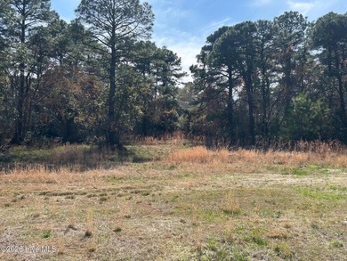 Fairfield Harbour, New Bern NC. Build your dream home on this on Harbour Point Golf Club in North Carolina - for sale on GolfHomes.com, golf home, golf lot