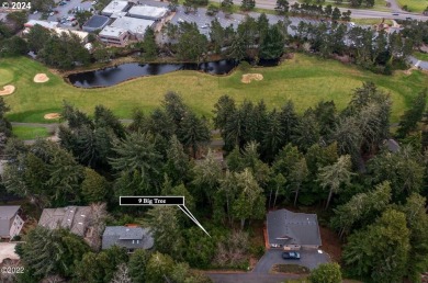 Location, location location! West side of Hwy 101 in the sought on Salishan Spa and Golf Resort in Oregon - for sale on GolfHomes.com, golf home, golf lot