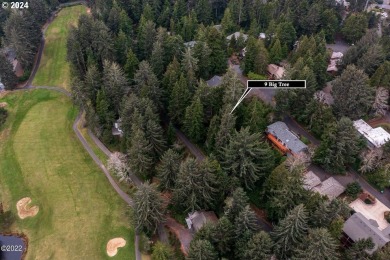 Location, location location! West side of Hwy 101 in the sought on Salishan Spa and Golf Resort in Oregon - for sale on GolfHomes.com, golf home, golf lot