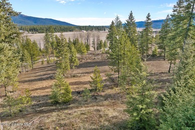 Wind through gorgeous terrain to reach ''forever views'' perched on Stoneridge Golf Club in Idaho - for sale on GolfHomes.com, golf home, golf lot