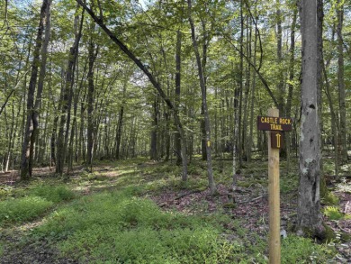 Your Slice of Almost Heaven - Double Lot in Alpine Lake Resort! on Alpine Lake Resort in West Virginia - for sale on GolfHomes.com, golf home, golf lot