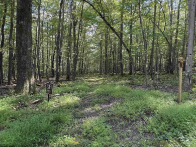 Your Slice of Almost Heaven - Double Lot in Alpine Lake Resort! on Alpine Lake Resort in West Virginia - for sale on GolfHomes.com, golf home, golf lot