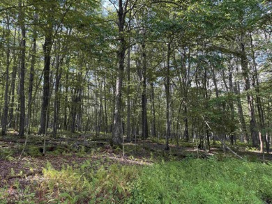 Your Slice of Almost Heaven - Double Lot in Alpine Lake Resort! on Alpine Lake Resort in West Virginia - for sale on GolfHomes.com, golf home, golf lot