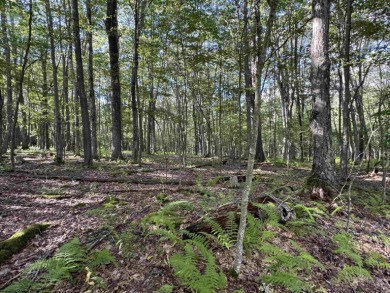 Your Slice of Almost Heaven - Double Lot in Alpine Lake Resort! on Alpine Lake Resort in West Virginia - for sale on GolfHomes.com, golf home, golf lot