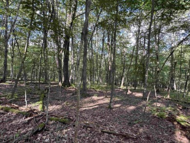 Your Slice of Almost Heaven - Double Lot in Alpine Lake Resort! on Alpine Lake Resort in West Virginia - for sale on GolfHomes.com, golf home, golf lot
