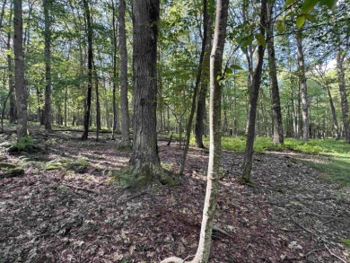 Your Slice of Almost Heaven - Double Lot in Alpine Lake Resort! on Alpine Lake Resort in West Virginia - for sale on GolfHomes.com, golf home, golf lot