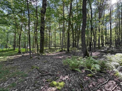 Your Slice of Almost Heaven - Double Lot in Alpine Lake Resort! on Alpine Lake Resort in West Virginia - for sale on GolfHomes.com, golf home, golf lot