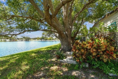 RARE Lakefront Double Wide in Highly Sought after Glenwood on Largo Golf Course in Florida - for sale on GolfHomes.com, golf home, golf lot
