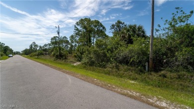 Welcome to an unparalleled opportunity to own a slice of on The Club At Twin Eagles in Florida - for sale on GolfHomes.com, golf home, golf lot