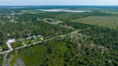 Welcome to an unparalleled opportunity to own a slice of on The Club At Twin Eagles in Florida - for sale on GolfHomes.com, golf home, golf lot