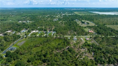 Welcome to an unparalleled opportunity to own a slice of on The Club At Twin Eagles in Florida - for sale on GolfHomes.com, golf home, golf lot