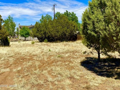 Gorgeous & level lot next to White Mountain Lake! Build your on Silver Creek Golf Club in Arizona - for sale on GolfHomes.com, golf home, golf lot