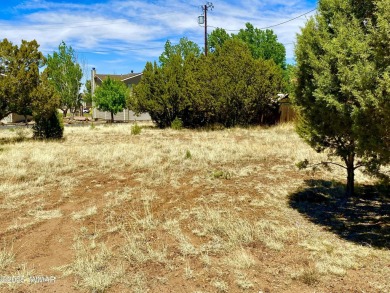 Gorgeous & level lot next to White Mountain Lake! Build your on Silver Creek Golf Club in Arizona - for sale on GolfHomes.com, golf home, golf lot