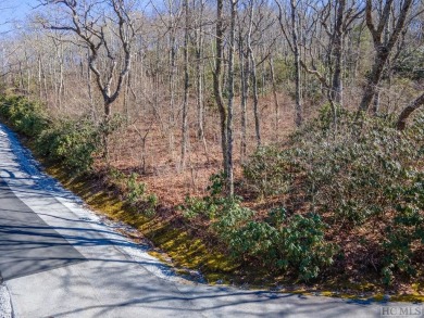 Great mountain views from this gently rolling home-site located on Old Edwards Club in North Carolina - for sale on GolfHomes.com, golf home, golf lot