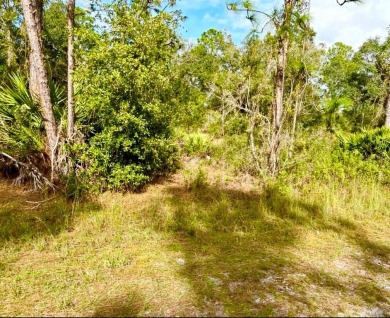Half-Acre Lot in Indian Lake Estates - A Golfer's  Fisherman's on Indian Lake Estates Golf and Country Club in Florida - for sale on GolfHomes.com, golf home, golf lot