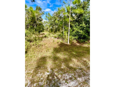 Half-Acre Lot in Indian Lake Estates - A Golfer's  Fisherman's on Indian Lake Estates Golf and Country Club in Florida - for sale on GolfHomes.com, golf home, golf lot