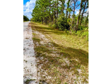 Half-Acre Lot in Indian Lake Estates - A Golfer's  Fisherman's on Indian Lake Estates Golf and Country Club in Florida - for sale on GolfHomes.com, golf home, golf lot