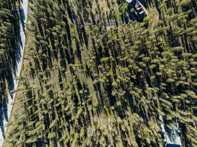 Are you considering building your mountain dream home? This on Pole Creek Golf Club in Colorado - for sale on GolfHomes.com, golf home, golf lot