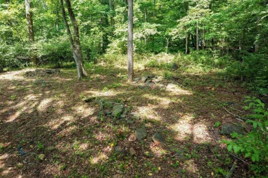 Approval has already been completed with Nelson County for a on Wintergreen Golf Course and Resort in Virginia - for sale on GolfHomes.com, golf home, golf lot