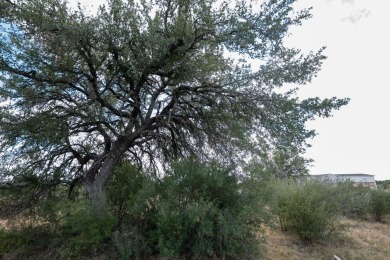 Mobile Home corner Lot with Oak trees in Horseshoe Bay. Lot is 0 on Slick Rock Golf Course - Horseshoe Bay in Texas - for sale on GolfHomes.com, golf home, golf lot