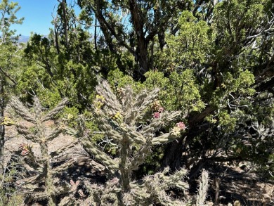 Enjoy 100 mile views from an upper elevation home site. Well on Paa-Ko Ridge Golf Club  in New Mexico - for sale on GolfHomes.com, golf home, golf lot