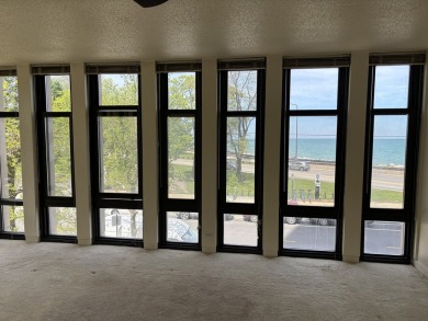 Dreaming of living by the lake? This cozy one-bedroom condo puts on Jackson Park Golf Course in Illinois - for sale on GolfHomes.com, golf home, golf lot
