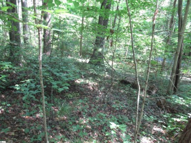 Great building lot in a golf course neighborhood with community on The Rock At Jocassee in South Carolina - for sale on GolfHomes.com, golf home, golf lot