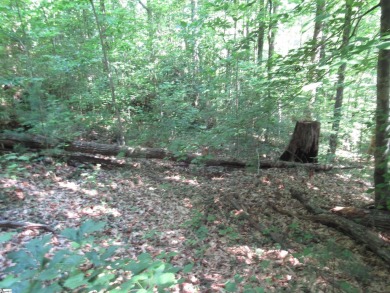 Great building lot in a golf course neighborhood with community on The Rock At Jocassee in South Carolina - for sale on GolfHomes.com, golf home, golf lot