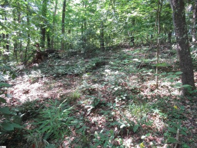Great building lot in a golf course neighborhood with community on The Rock At Jocassee in South Carolina - for sale on GolfHomes.com, golf home, golf lot