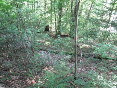 Great building lot in a golf course neighborhood with community on The Rock At Jocassee in South Carolina - for sale on GolfHomes.com, golf home, golf lot