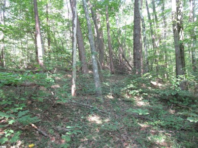 Great building lot in a golf course neighborhood with community on The Rock At Jocassee in South Carolina - for sale on GolfHomes.com, golf home, golf lot
