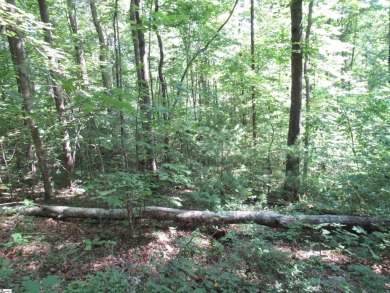 Great building lot in a golf course neighborhood with community on The Rock At Jocassee in South Carolina - for sale on GolfHomes.com, golf home, golf lot