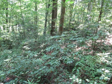 Great building lot in a golf course neighborhood with community on The Rock At Jocassee in South Carolina - for sale on GolfHomes.com, golf home, golf lot