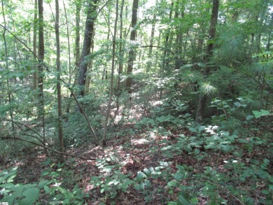 Great building lot in a golf course neighborhood with community on The Rock At Jocassee in South Carolina - for sale on GolfHomes.com, golf home, golf lot
