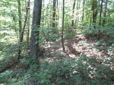 Great building lot in a golf course neighborhood with community on The Rock At Jocassee in South Carolina - for sale on GolfHomes.com, golf home, golf lot