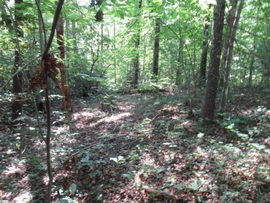 Great building lot in a golf course neighborhood with community on The Rock At Jocassee in South Carolina - for sale on GolfHomes.com, golf home, golf lot