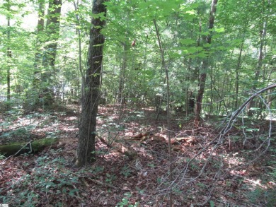 Great building lot in a golf course neighborhood with community on The Rock At Jocassee in South Carolina - for sale on GolfHomes.com, golf home, golf lot