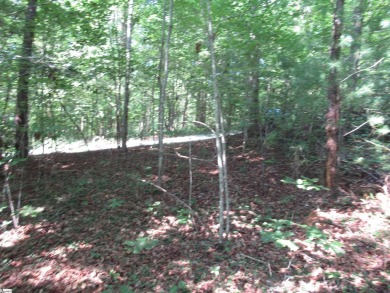 Great building lot in a golf course neighborhood with community on The Rock At Jocassee in South Carolina - for sale on GolfHomes.com, golf home, golf lot